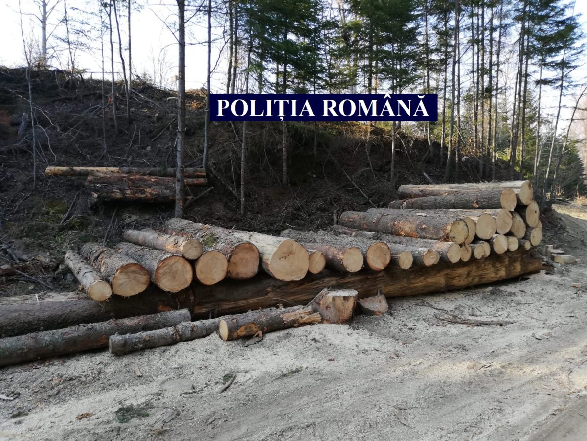 Poliţia Română