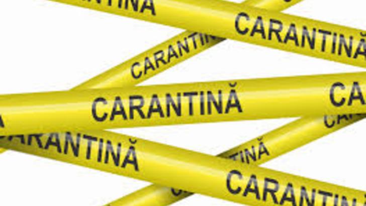 carantina/ realitatea.net