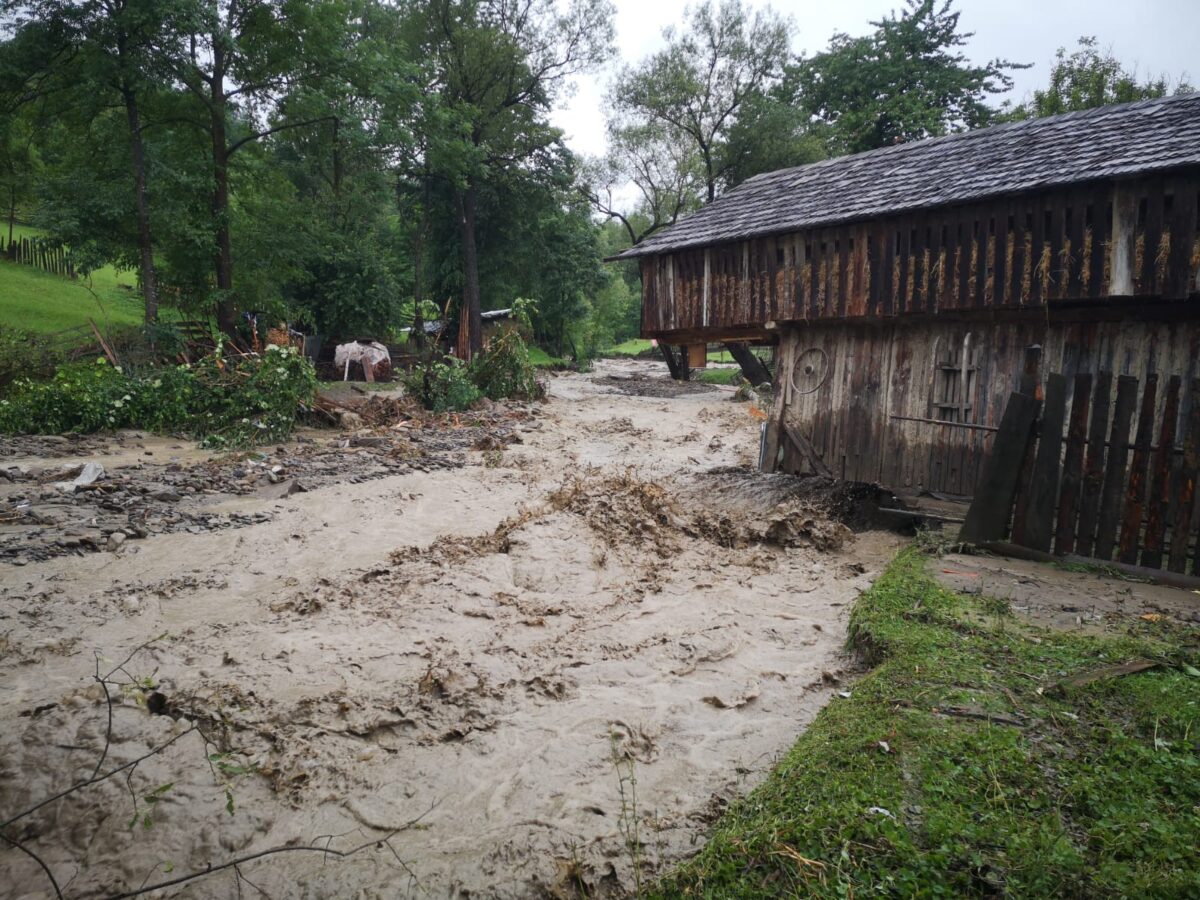 sursa foto: ISU