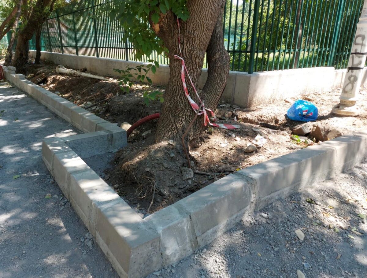 Redacția