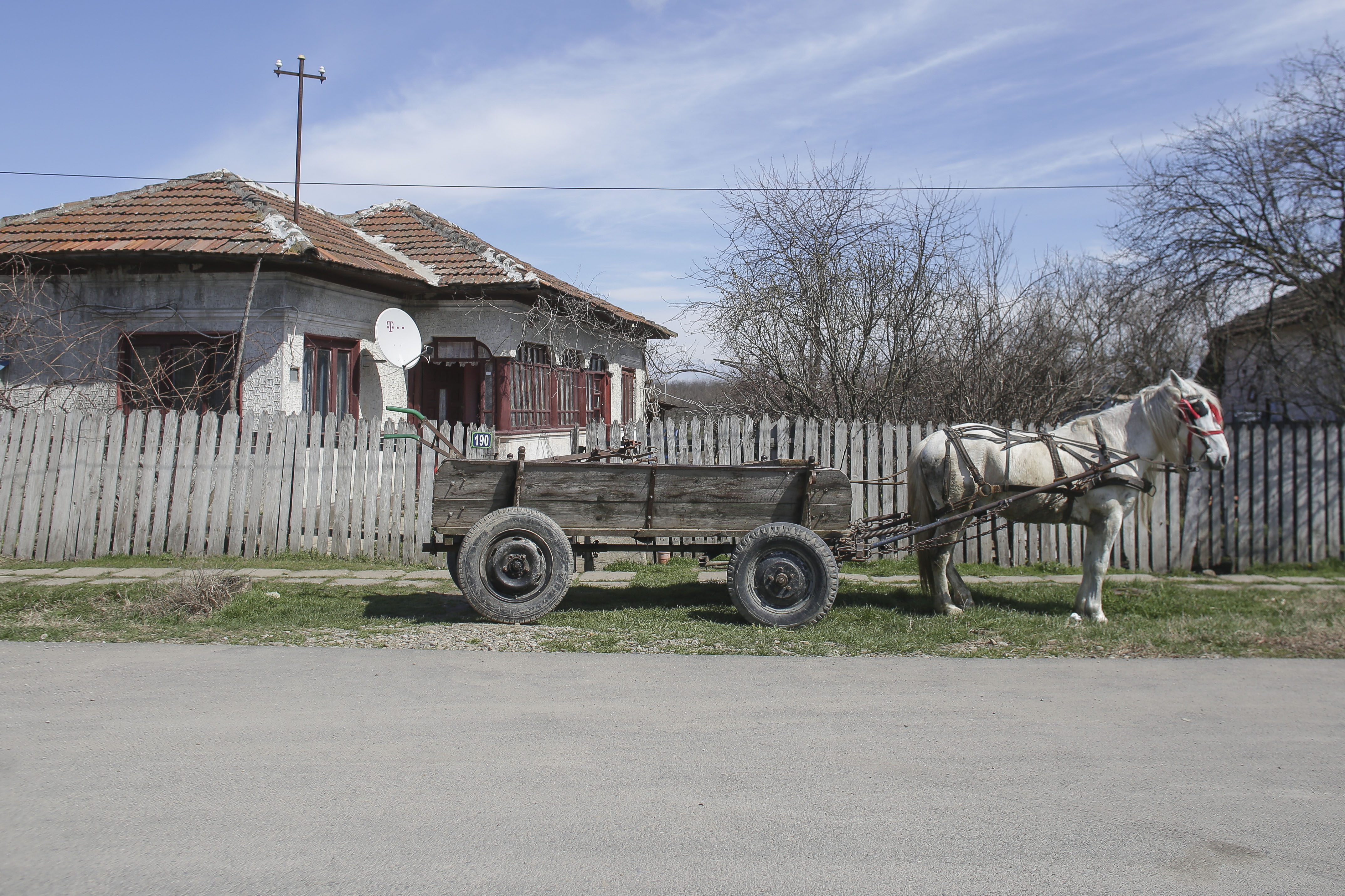 Inquam Photos / Octav Ganea
