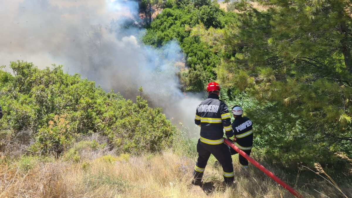 pompieri incendiu vegetatie
