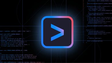 Gemini Cli foto Google