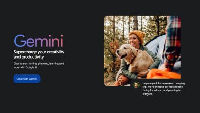 Abonament Gemini Lite