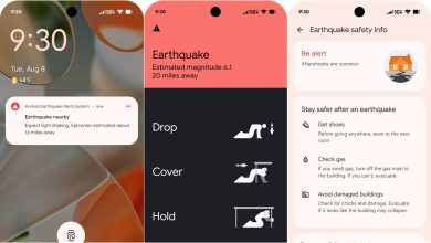 Android Earthquake Alerts sistem avertizare seismică foto Google