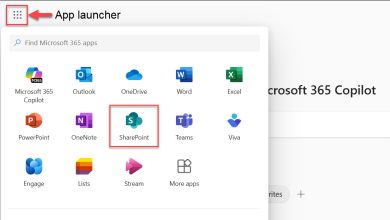 Microsoft SharePoint foto Microsoft