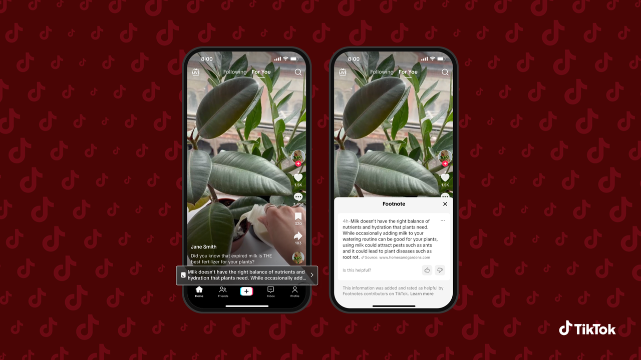 TikTok Footnotes