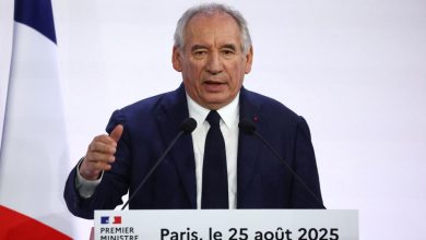 Sursa: France 24